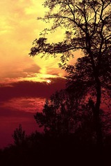 IMG_3640_2.jpg