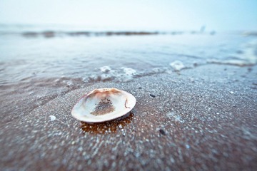 IMG_5407.jpg