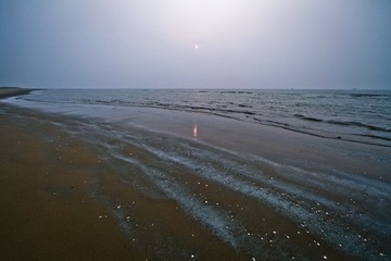 IMG_5415.jpg
