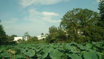 933549