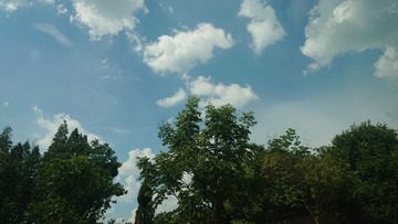 933253