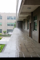 雨