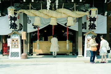 新建文件夹DSC09544