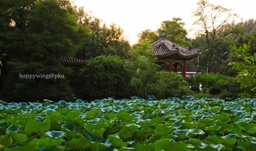 勺海