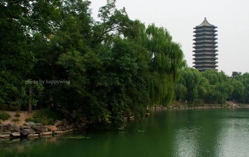 白露 未名湖2