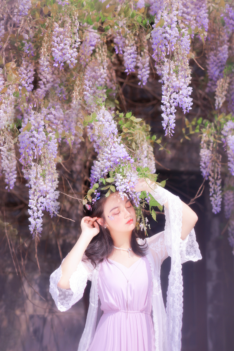 紫藤花与少女