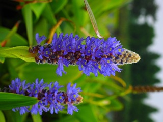 P8240034