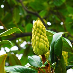 P8240041