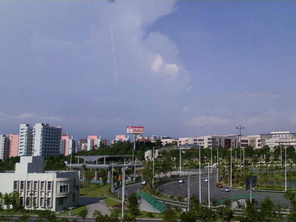 t029<br />
