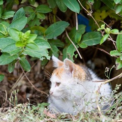 20110612-_MG_0991