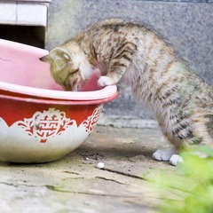 里面有啥？