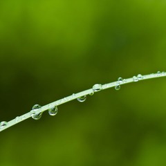 雨后2