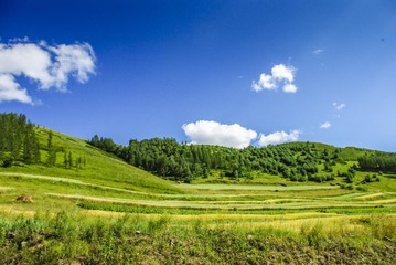 IMGP5698-6