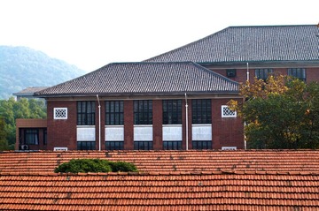 IMGP3623.jpg