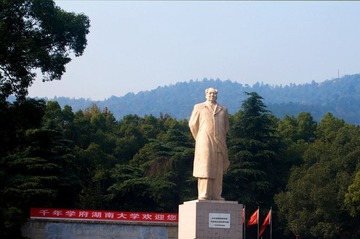 IMGP3856.jpg