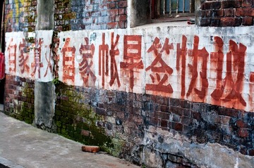 IMGP4828.jpg