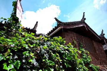 IMGP6909.jpg
