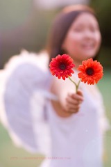 IMG_2227-x