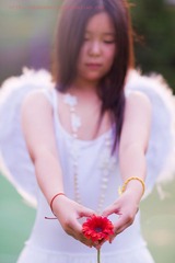 IMG_2228-x