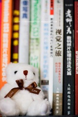 爱拍照的小熊