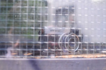Olympus Trip 35旁轴相机
