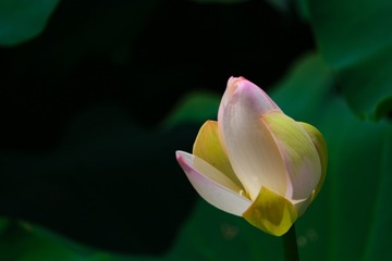 673927