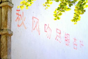 720104