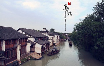 IMG_2863.jpg