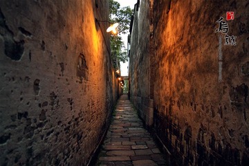 IMG_2905.jpg