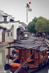 IMG_2939.jpg