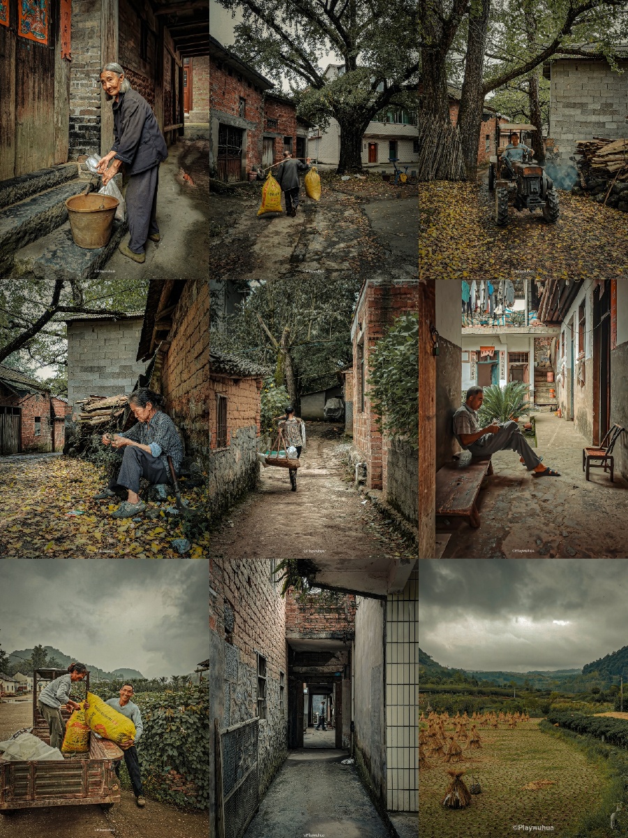 采访之余看看村头村尾的风土人情