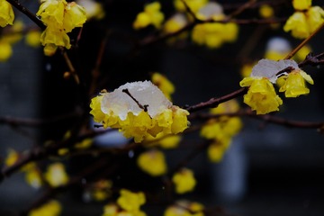 24EF0ED7-8290-48D6-89EB-C966483330F6/L0/001