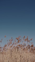 5547AC62-5378-4C7A-8F51-11A6B447C6B0/L0/001