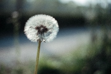 71FF58FB-8837-4B3A-A462-2A0D7F284AD7/L0/001