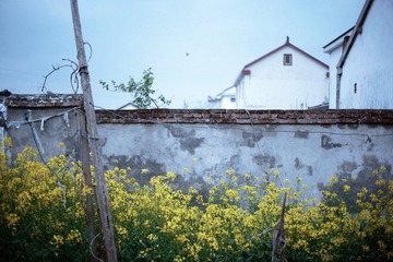 F9C67D2E-B93B-443D-BBAC-B8147B972754/L0/001