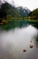 IMG_4407.jpg
