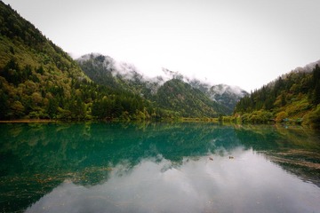 IMG_4416.jpg