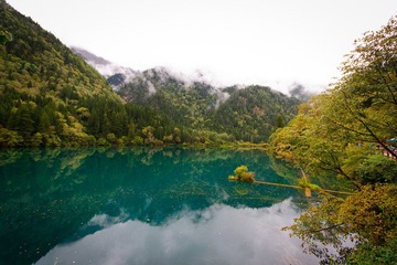 IMG_4421.jpg