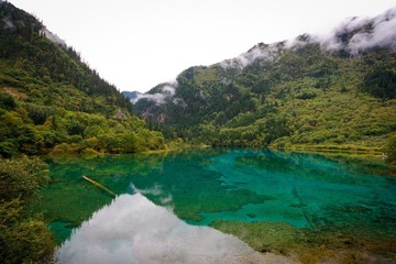 IMG_4440.jpg