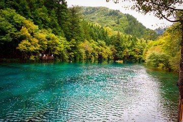 IMG_4467.jpg