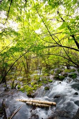 IMG_4490.jpg