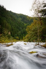IMG_4527.jpg