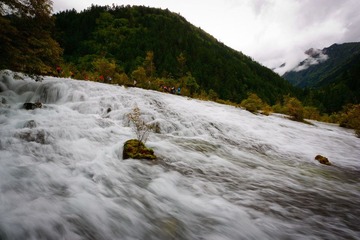 IMG_4533.jpg