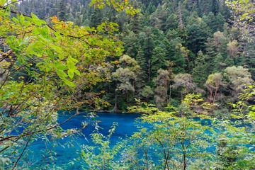 IMG_4543.jpg
