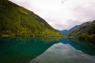 IMG_4547.jpg