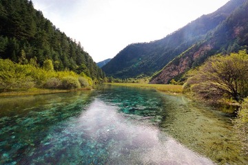 IMG_4576.jpg