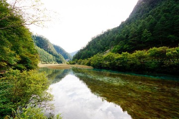 IMG_4625.jpg