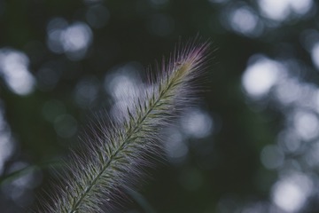 970602