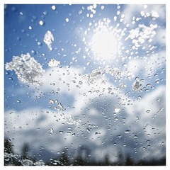 Sunny Dews