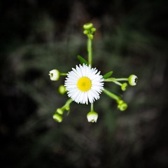 修